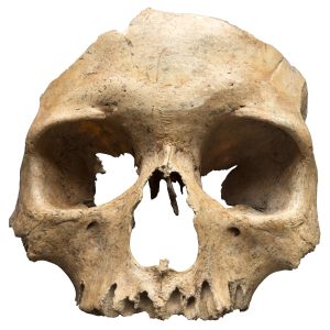 Áldozati koponyamaszk a bronzkorból